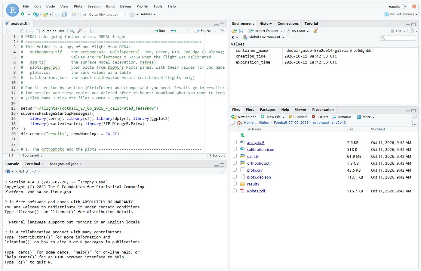 RStudio with the flight's files and the starter script