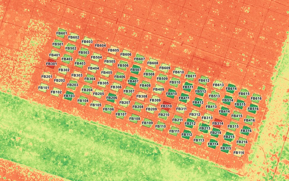 A QGIS project in QGIS: NDVI with the trial plots coloured by mean NDVI and labelled with their codes